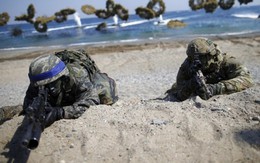 Mỹ sẽ giảm quy mô tập trận chung “Đại bàng non” với Hàn Quốc