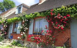 Ngắm những ngôi nhà thơ mộng với giàn hoa đẹp như cổ tích ở làng quê nước Pháp