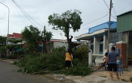 Bão số 9 cách đảo Phú Quý 100km, người dân tất bật cắt cây, chằng chống nhà cửa