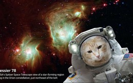 NASA làm app selfie "bay giữa ngân hà", ra ngay ảnh chụp ngoài không gian như thật