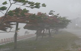 Bão số 9: Đang mưa lớn ở đảo Phú Quý, Cần Giờ, lãnh đạo TP Vũng Tàu gõ cửa từng nhà dân vận động sơ tán