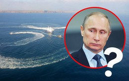 Tổng thống Putin ở đâu, làm gì trong suốt thời gian Ukraine - Nga "đụng độ" trên biển Đen?