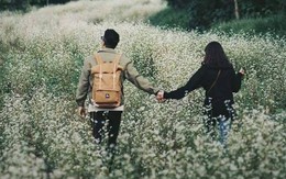 Đi du lịch Đà Lạt cùng người thương, cô gái mất luôn tình yêu vào cái tên không ngờ tới