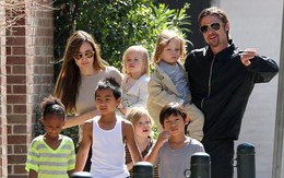 Angelina Jolie và Brad Pitt xin hoãn phiên tòa xử quyền nuôi con