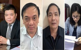 Hai người bị bắt cùng cựu Chủ tịch BIDV Trần Bắc Hà là ai?