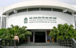 Hai cây sưa đỏ tại Bảo tàng Dân tộc học Việt Nam bị cưa trộm