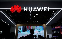 Tình báo New Zealand cấm doanh nghiệp trong nước sử dụng thiết bị Huawei