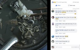 Nửa đêm đăng ảnh đồ ăn, chàng trai khiến dân mạng 'nín lặng' với... bát mì chị Dậu