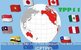 Hiệp định CPTPP tạo áp lực cải cách thể chế rất lớn