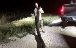 24h qua ảnh: Thợ săn bắt được trăn khổng lồ có kích cỡ kỷ lục ở Mỹ