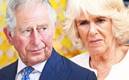 Người hâm mộ chỉ trích bà Camilla mắc "bệnh lười", kiêu căng, sau khi bỏ về nước, để chồng một mình trong chuyến công du