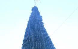 Ảnh: Cây thông Noel khổng lồ cao 12m mừng lễ Giáng sinh ở Hà Nội