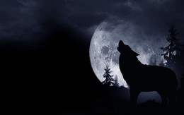Siêu trăng, trăng máu, trăng sói xuất hiện cùng lúc vào tháng 1/2019