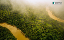 Hành trình đáng ngạc nhiên tiết lộ mặt trái ở rừng Amazon