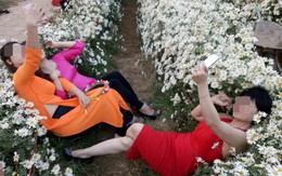 Ba người phụ nữ nằm đè bẹp luống hoa cúc họa mi, vắt chân selfie gây bức xúc