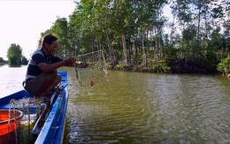 Đặt rập bắt loài cua thơm ngon nhất nước