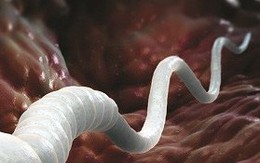 7 dấu hiệu hiển thị sức khỏe tinh dịch