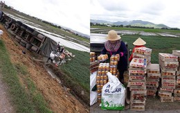 Xe container lật ngang xuống ruộng và hành động nhận triệu like của người dân Phú Yên