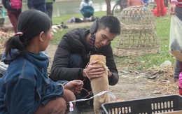Thích thú đến chợ chó con ở Nghệ An vào ngày 29 Tết