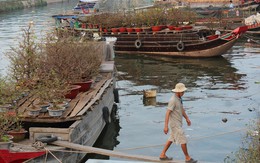 Chiều nay Xuân về