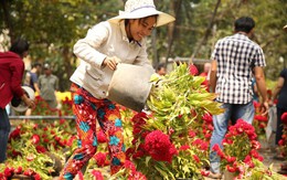 Không bán hết hàng trưa 30 Tết, tiểu thương dùng gậy đập nát chậu hoa, vứt vào thùng rác