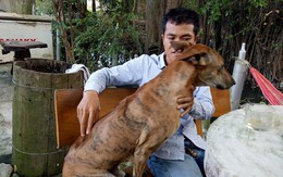 Tỷ phú tuổi 30 nhờ nuôi chó Phú Quốc