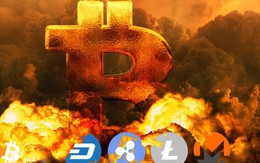 Bitcoin lao dốc: Thủng mốc 9.000 USD, xuống thấp nhất 2 tháng và vẫn chưa nhìn thấy đáy