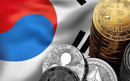 Nơi buồn nhất của những nhà đầu tư bitcoin