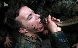 24h qua ảnh: Lính Mỹ uống máu rắn hổ mang luyện kỹ năng tồn tại