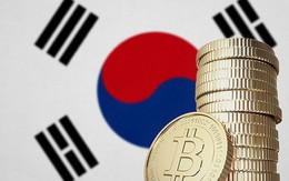 Bitcoin đã tăng giá gấp đôi chỉ trong 2 tuần qua