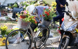 Bế mạc hội hoa xuân Tao Đàn, người dân "mót" lại hoa sắp cho vào xe rác