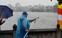 Rùa, cá vừa phóng sinh bị vợt ngay trước mắt tại chùa Trấn Quốc