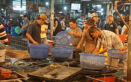 Nhộn nhịp chợ cá lóc trước ngày vía Thần tài