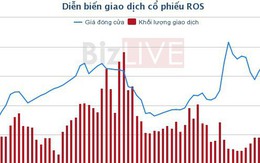 ROS lên kế hoạch trả cổ tức 20% năm 2018