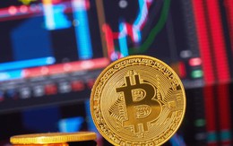 Phí giao dịch Bitcoin giảm kỷ lục