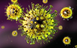 Những con số ngoài sức tưởng tượng về đại dịch cúm trên toàn thế giới