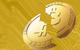 Bitcoin vừa thêm một lần thủng đáy 8.000 USD, cơn ác mộng vẫn chưa có hồi kết