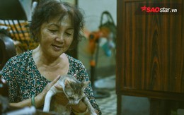 Chuyện những ‘bà khùng’ gần 20 năm cưu mang mèo hoang ở Sài Gòn