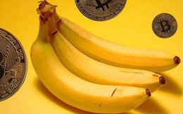 Bananacoin - Đồng tiền chuối, có trị giá bằng 1 cân chuối