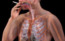 Cơ thể sẽ "phản ứng" ra sao khi bạn dừng hút thuốc lá?