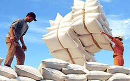 Xuất cấp gạo cho 7 địa phương để hỗ trợ cứu đói nhân dân trong dịp Tết