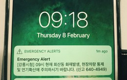 Phóng viên, khán giả Olympic tại Hàn Quốc hoang mang nhận tin nhắn báo động khẩn