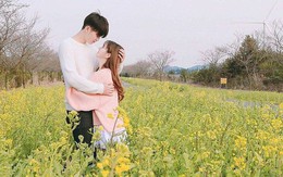 Dự đoán chuyện tình yêu của 12 con giáp trong năm Mậu Tuất 2018