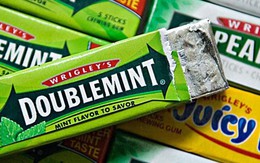 Dự án khiến nhiều người khâm phục: Khi bã kẹo cao su có thể tái chế thành những vật dụng bất ngờ