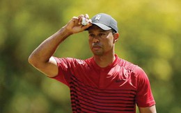Màn tái xuất 'gây bão' của Tiger Woods