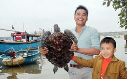 Ngư dân Quảng Trị bắt được rùa quý hiếm, nặng 12kg