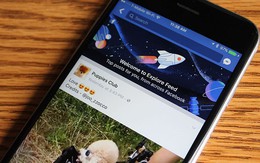 Facebook nản chí: "Sẽ không có 'News Feed thứ 2' nữa, chỉ giữ một cái như trước thôi!"