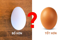 Trứng gà hay trứng vịt tốt hơn: Vì hiểu sai nên nhiều người đã bỏ phí cơ hội bồi dưỡng