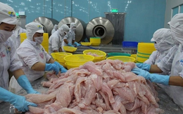 Đại sứ Mỹ thông tin về việc tăng thuế chống bán phá giá cá tra Việt Nam