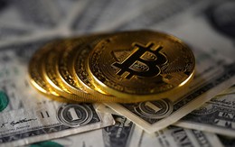 Giá Bitcoin hôm nay 30/3: Một nhà đầu tư bán tháo tài sản, thị trường giảm điên cuồng